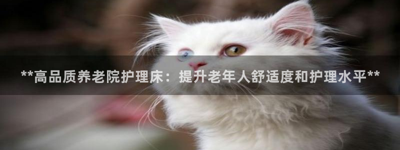 韦德网址是多少