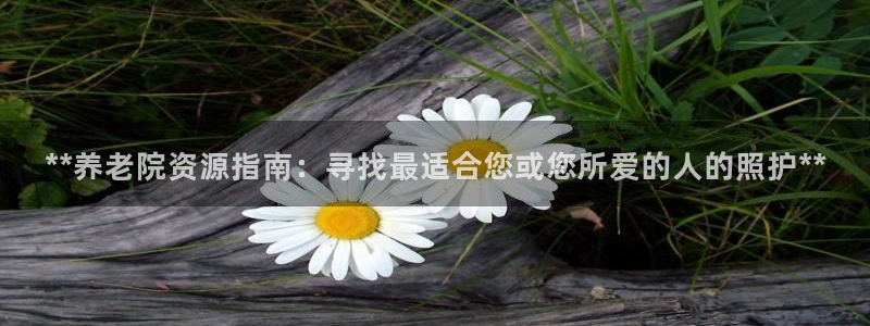 韦德网址是多少