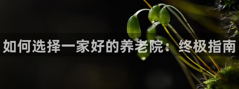 韦德的游戏