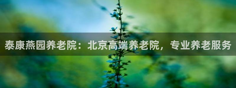 韦德1946