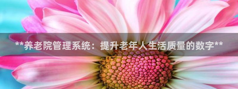 韦德网址