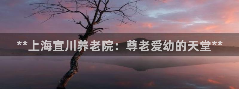 1946韦德游戏