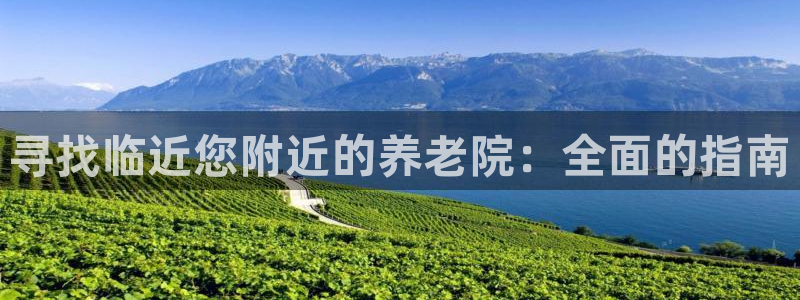 韦德网站是多少