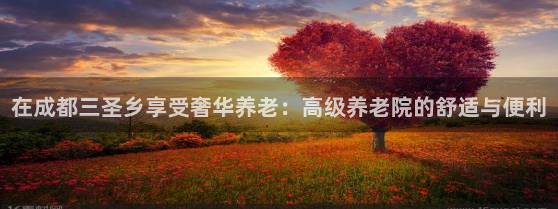 韦德观战总决赛G3