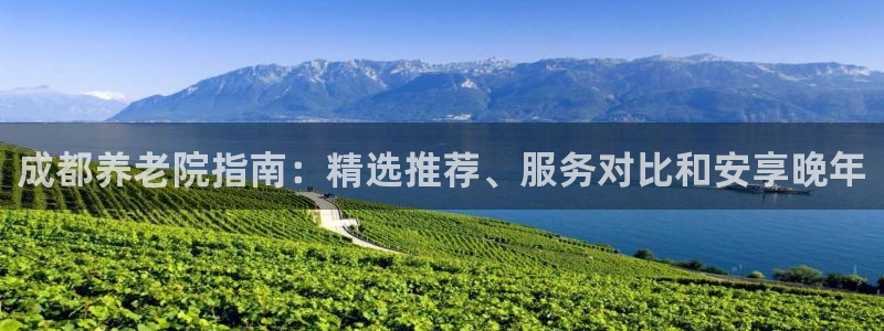 韦德官方网址大全