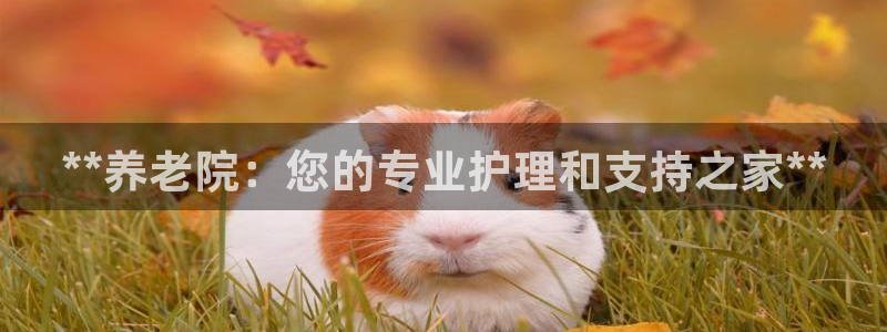 韦德 网站