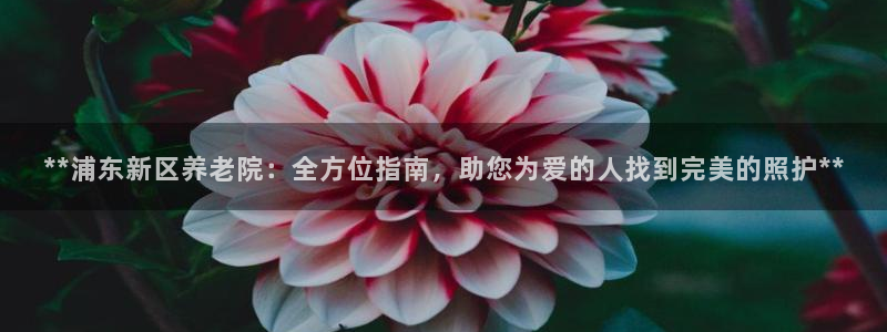 韦德游戏网址