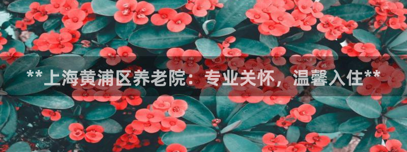 韦德网址是多少
