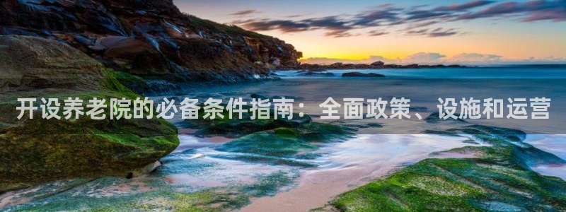 韦德1946国际