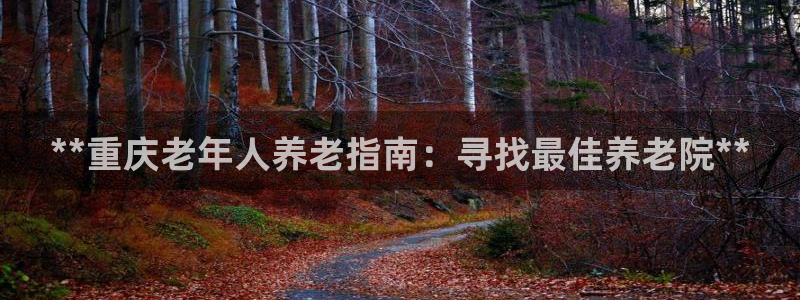 韦德1946手机