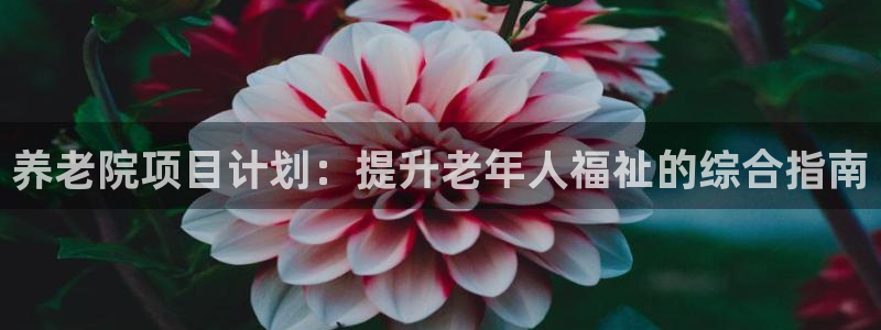 韦德游戏网址