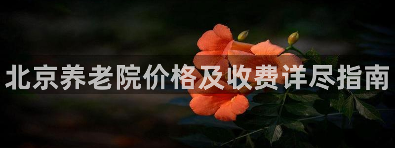 1946韦德官方网站