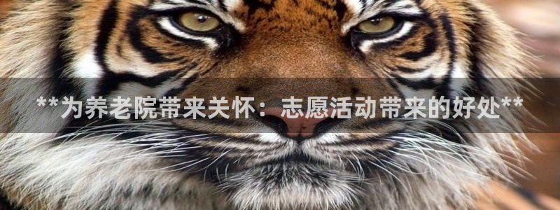 韦德1946中文官网