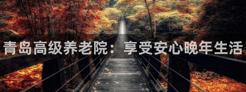 1946韦德网站