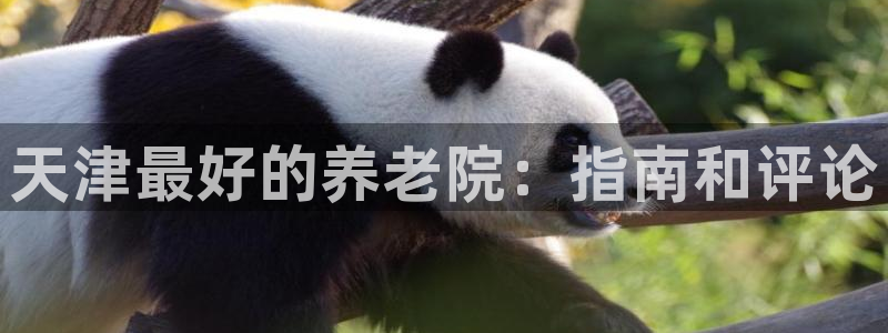 1946韦德网站