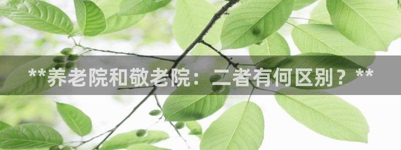 bet韦德1946