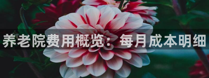 韦德1946客户端