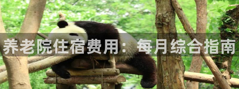 韦德游戏是什么