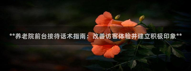 韦德1946手机