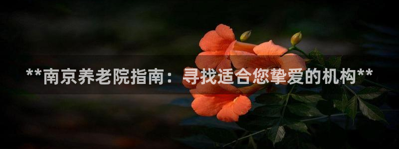 韦德的地位