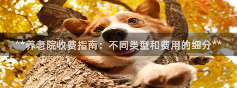韦德网址