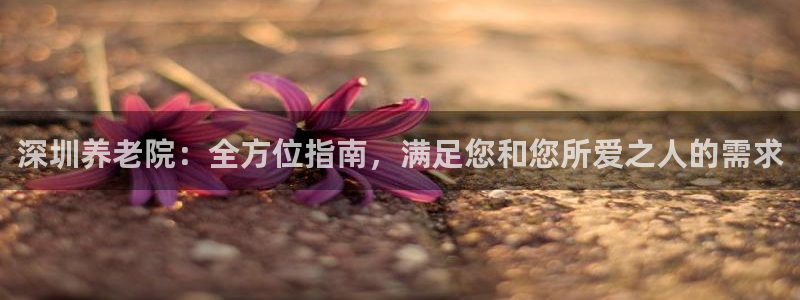 韦德bietview官网