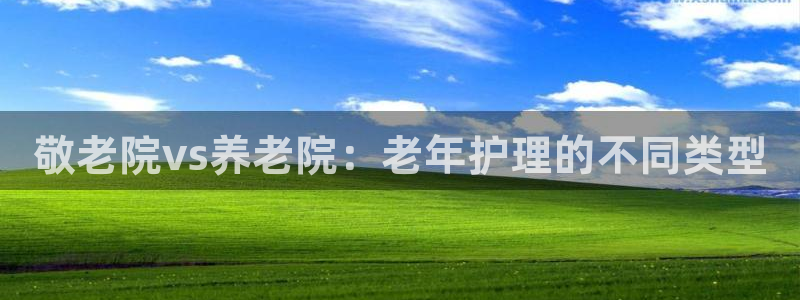 韦德下载