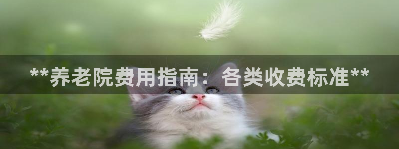 韦德1946bet