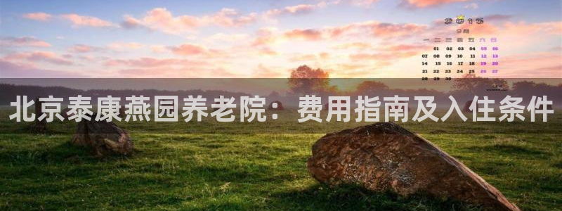 韦德的游戏