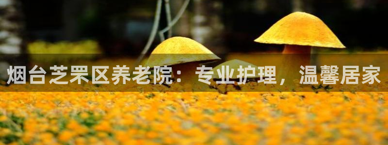 韦德1946备用网站