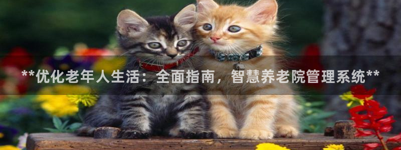 韦德全系列