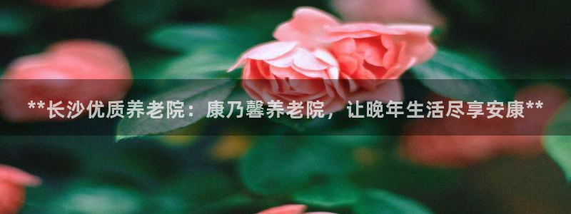韦德是哪个