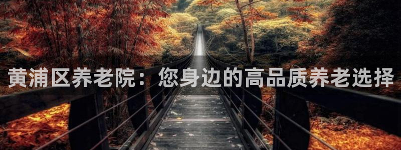 韦德网站是多少