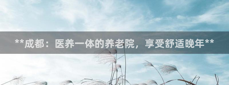 韦德游戏是什么