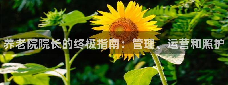 韦德游戏大厅