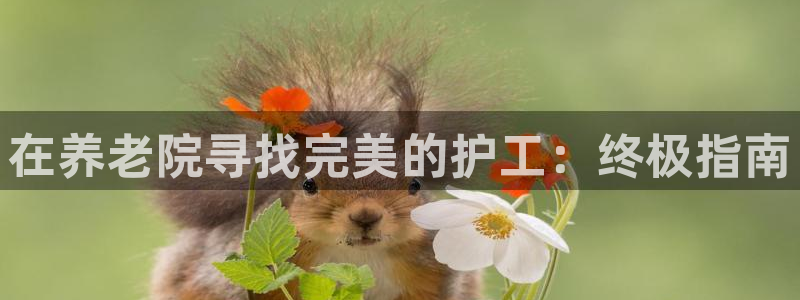 韦德属于什么