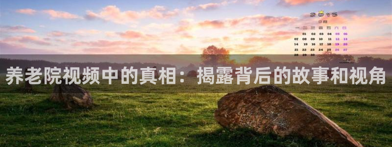 韦德bietview官网