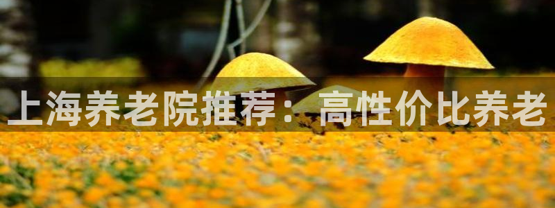 韦德1946中文官网