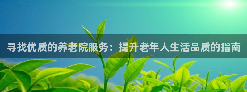 韦德是哪个