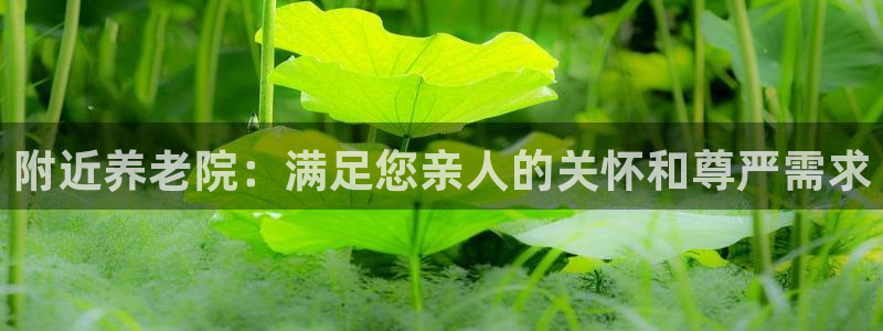 韦德官方网址大全