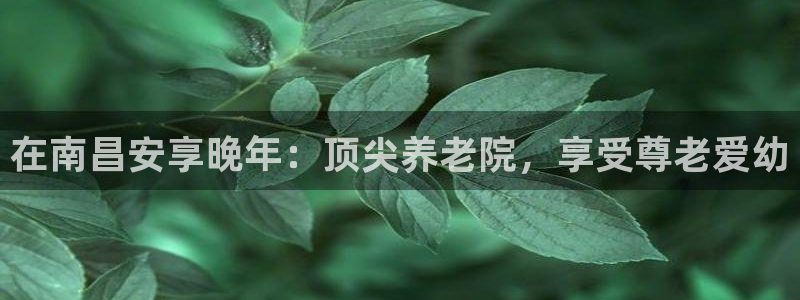 韦德1946国际娱乐