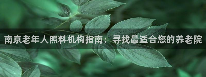 韦德观战总决赛G3