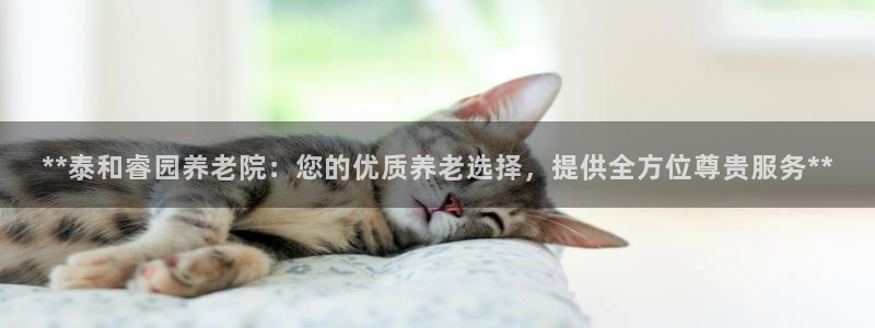 韦德新品