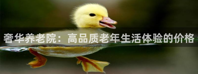 韦德是哪一届