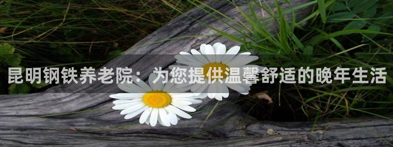 韦德全系列