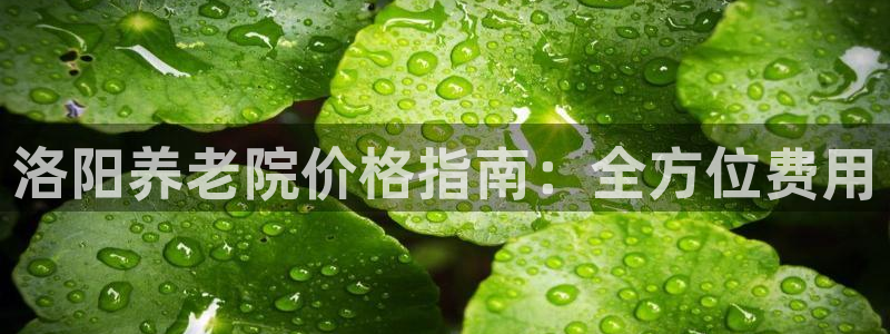 韦德1946手机