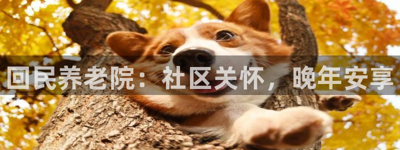 韦德属于什么
