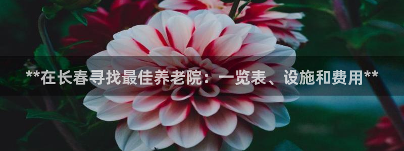 韦德国际1946官网