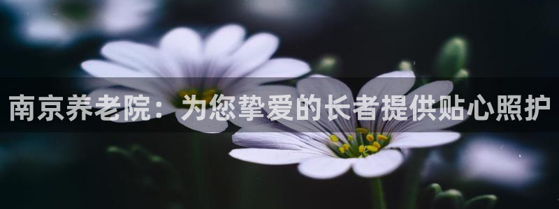 1946韦德网站