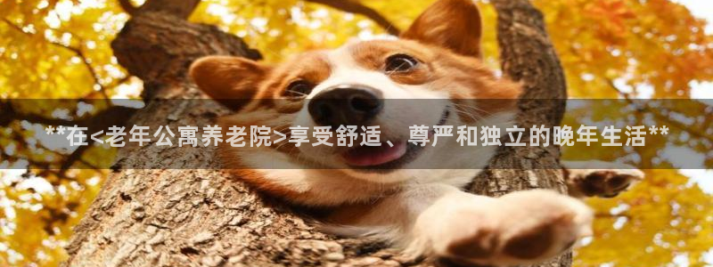 1946韦德游戏